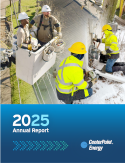 2025 Annual Report Thumbnail